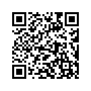 ioslauncher13中文版
