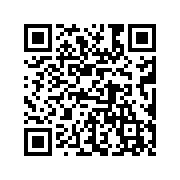 闪光主题壁纸最新版app