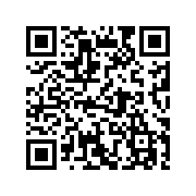 虚拟来电宝app