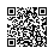 隐身浏览器app