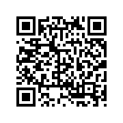 音速扣篮
