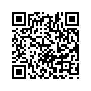 shadowverse中文版