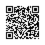 勇士格斗无敌版