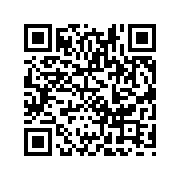 飞行模拟器2D